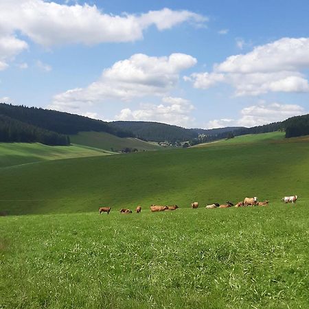 Haus Zum Sternen Lägenhet Vöhrenbach Exteriör bild