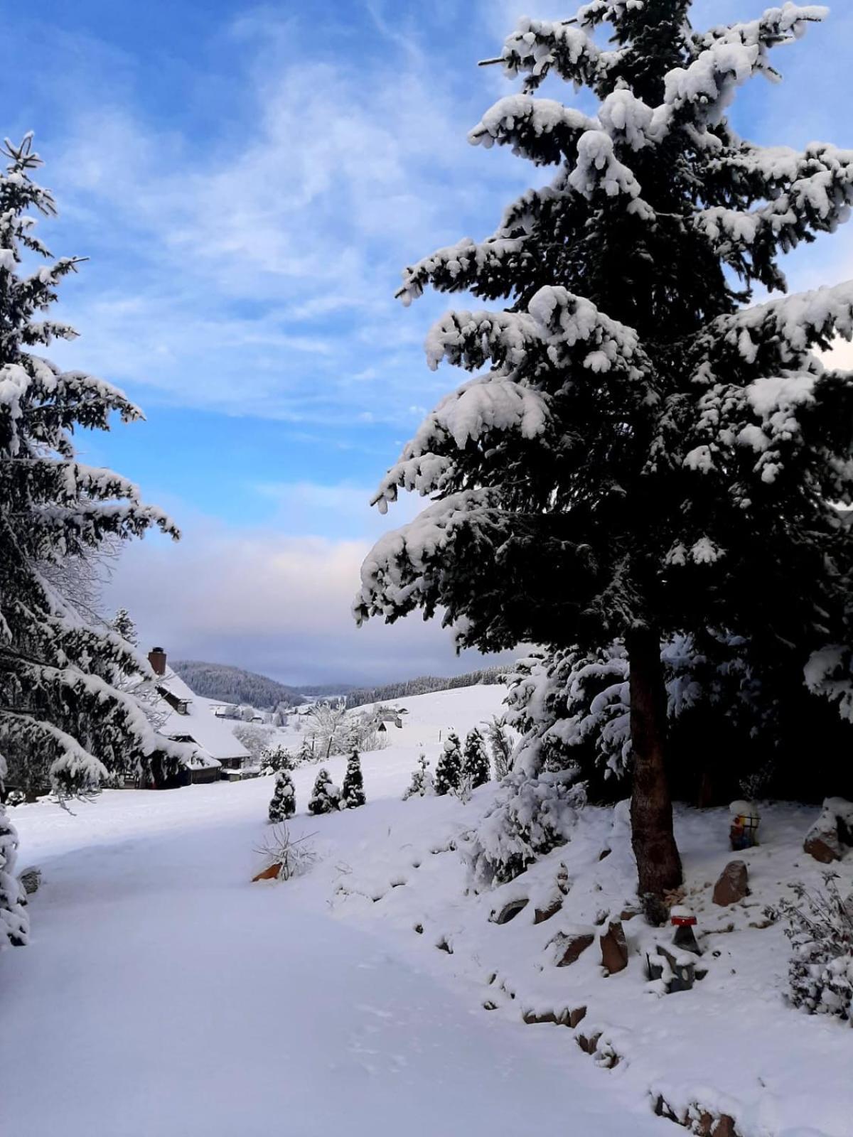 Haus Zum Sternen Lägenhet Vöhrenbach Exteriör bild