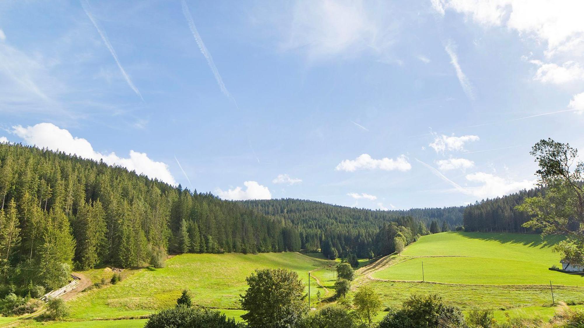 Haus Zum Sternen Lägenhet Vöhrenbach Exteriör bild